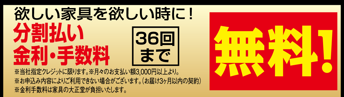 分割36回金利手数料無料。