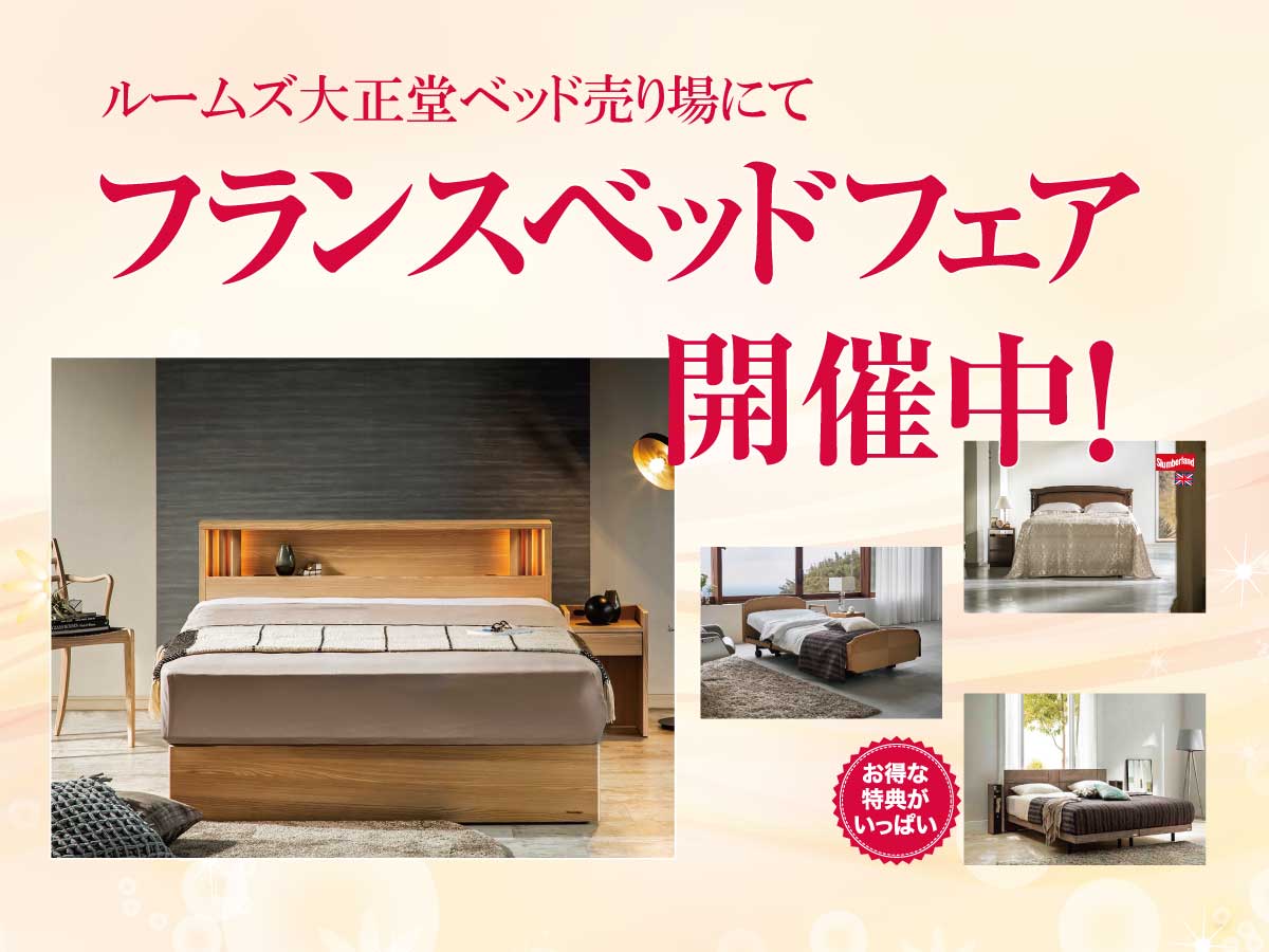 フランスベッド FB-033 電動 介護