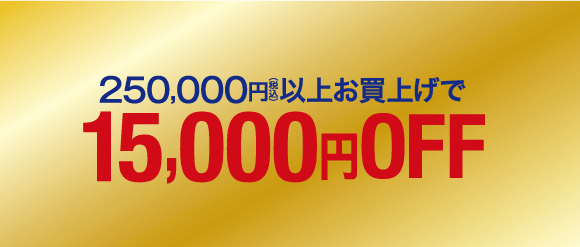 税込250,000円以上で15,000円OFF