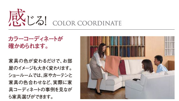 カラーコーディネートを確認できます。