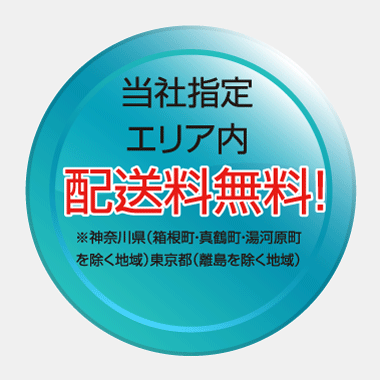 指定エリア内送料無料