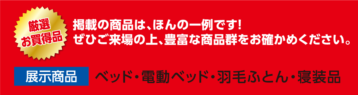お買得商品の一例をご案内