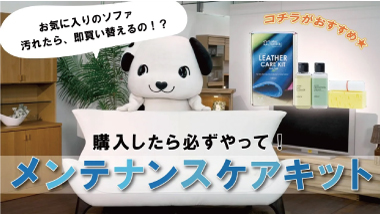 【必見】革ソファのメンテナンス方法