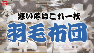 【熟睡快眠】羽毛布団