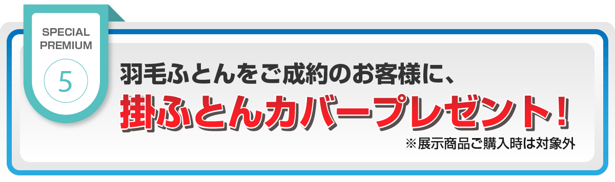 羽毛布団ご購入で掛布団カバープレゼント。