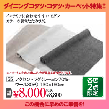 カーペット：税込8,800円