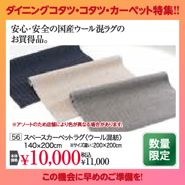 カーペット：税込11,000円