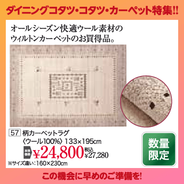 カーペット：税込27,280円