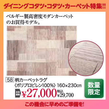 カーペット：税込29,700円