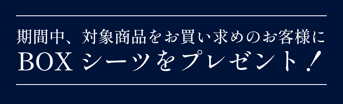 ドリームベッドサータフェア