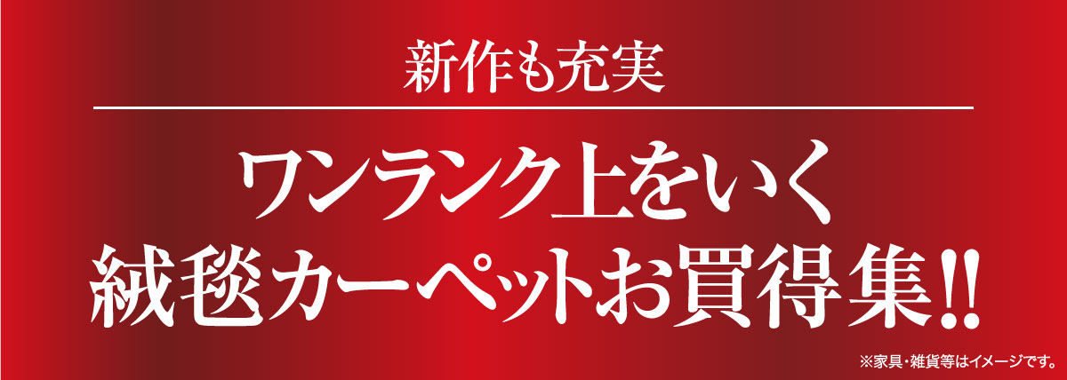 カーペットお買い得集