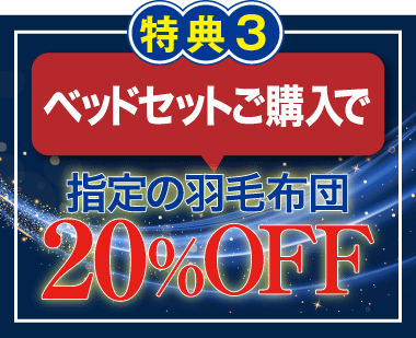 ベッドセット購入で指定の羽毛布団20％OFF！