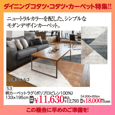 カーペット：税込12,793円