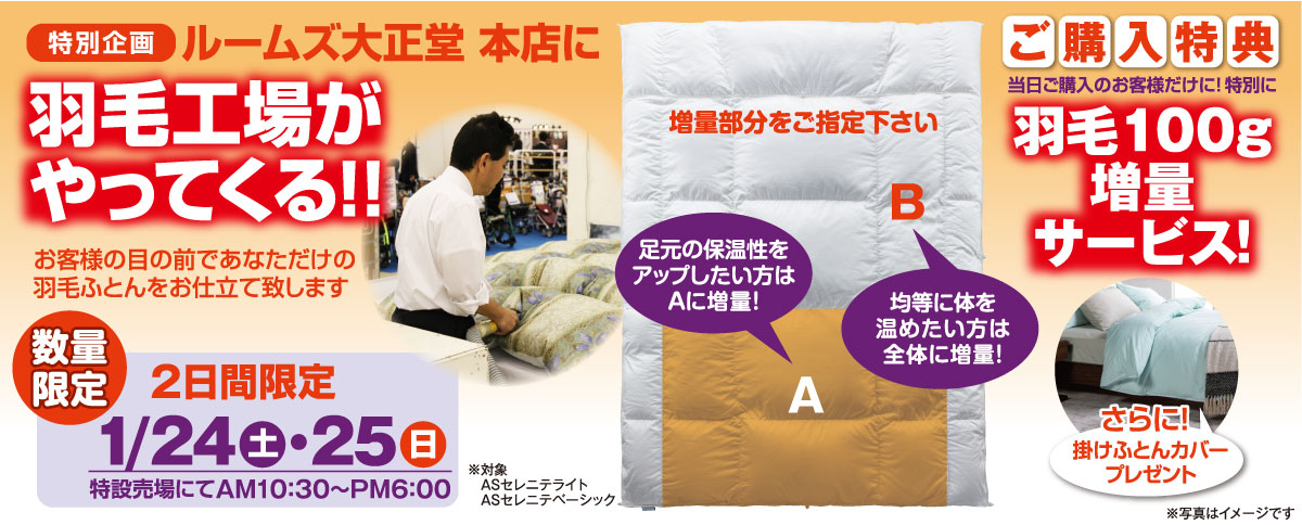 羽毛布団工場がやってくる!