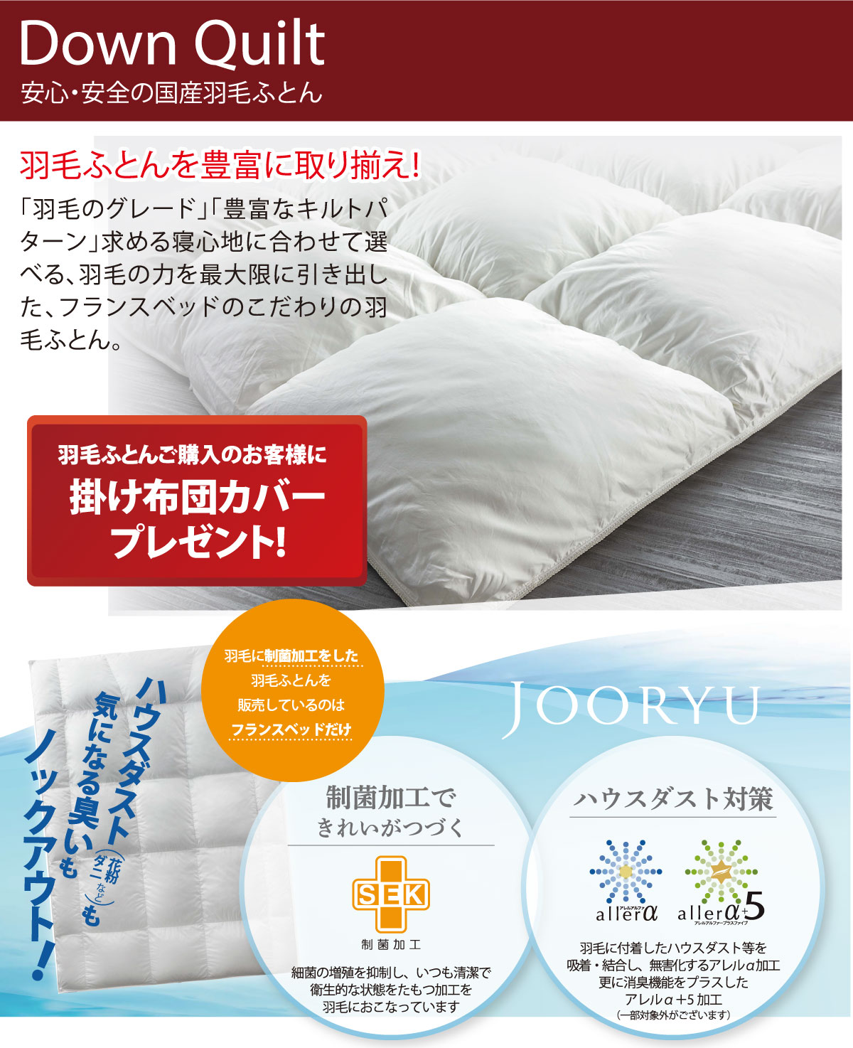 新春初売注目商品