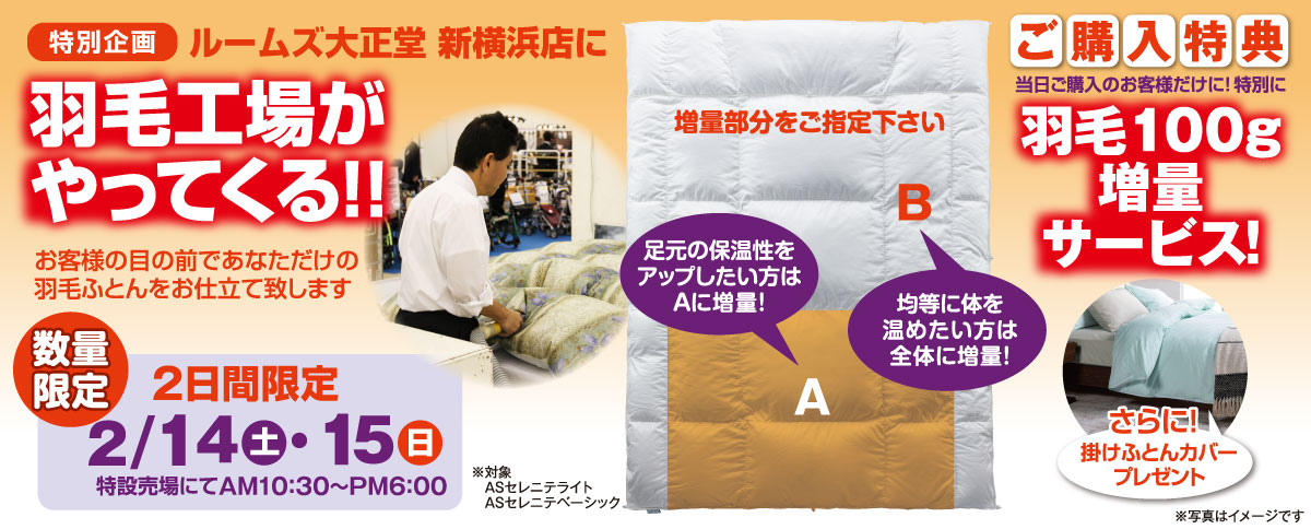 羽毛布団工場がやってくる!