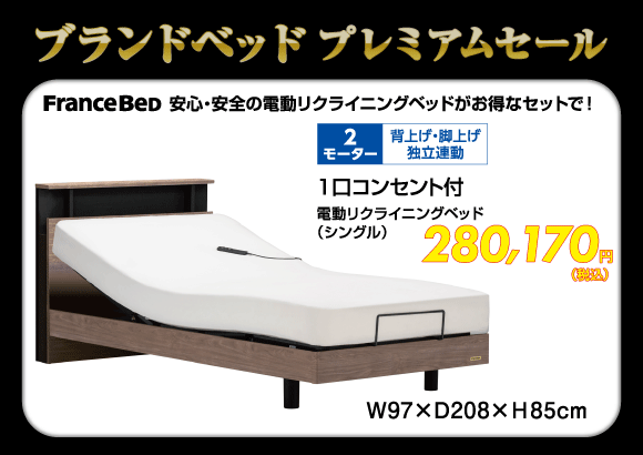電動リクライニングベッド税込280,170円