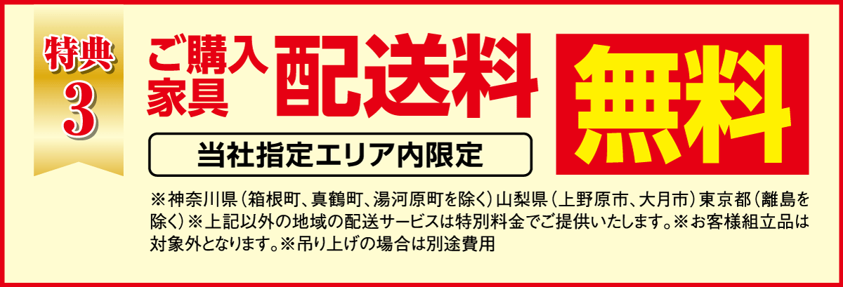 当社指定エリア内送料無料