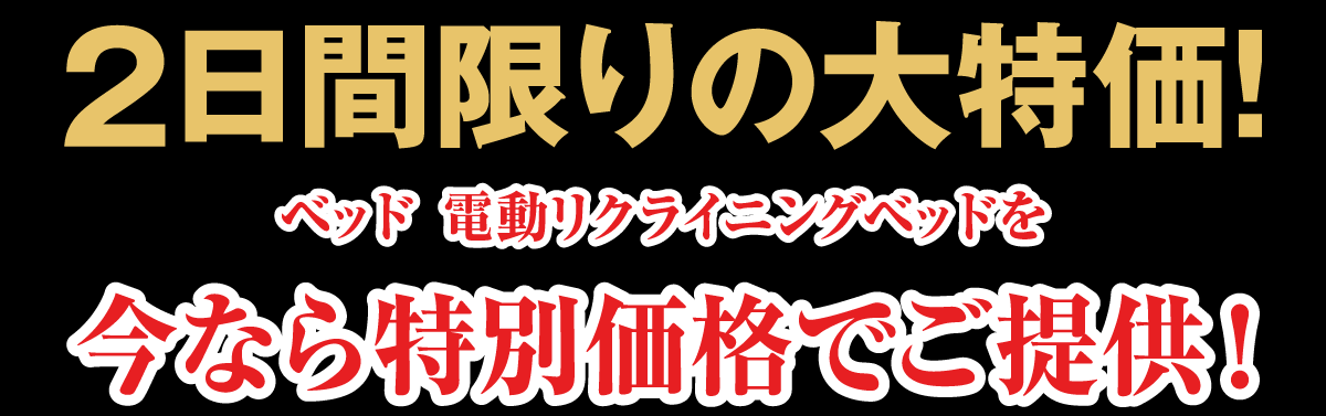 2日間限りの大特価。