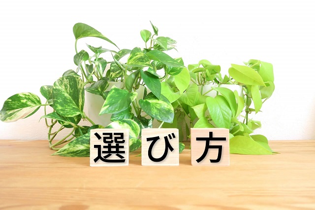 デスクの選び方のイメージ