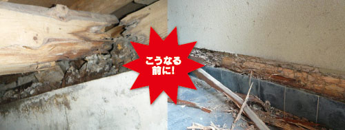 こうなる前に!
